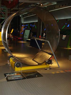 Ρόδα Χάμστερ (Συμμετοχικό Έκθεμα)